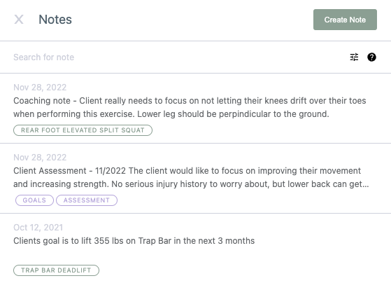 Screenshot of StrengthPortal client notes